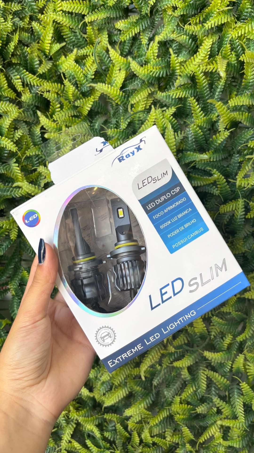 Lâmpadas LED Slim RayX